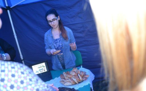 Hripsime initiative project