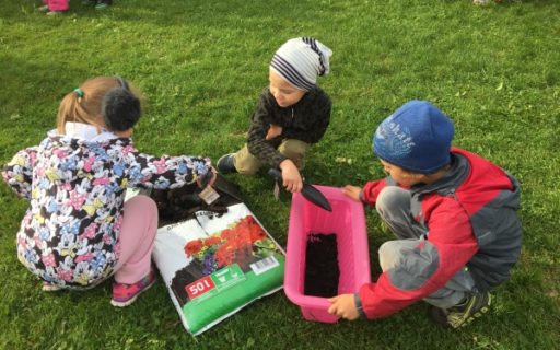 Sophia’s gardening project