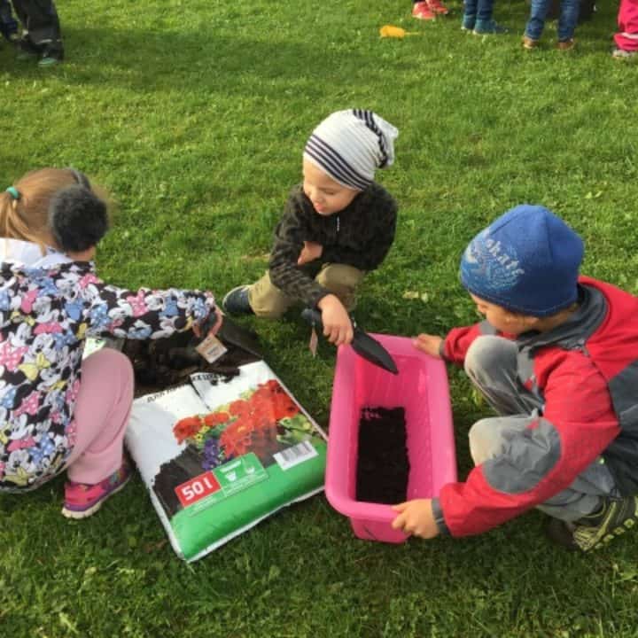 Sophia’s gardening project