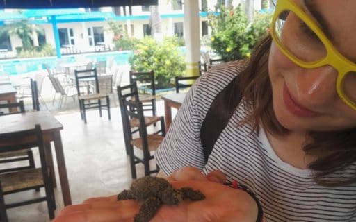 Kuidas Tuule Mehhikos kilpkonni päästis