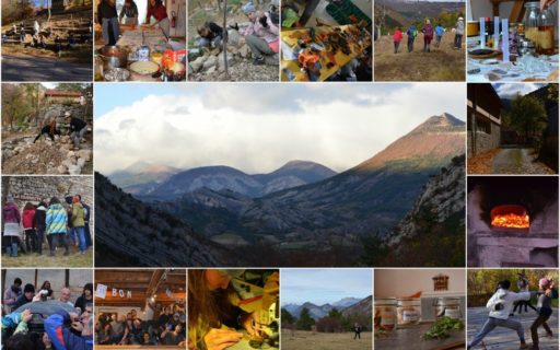 Noortevahetus mägedes?