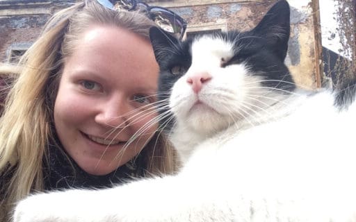 Ode aasta Sitsiilias