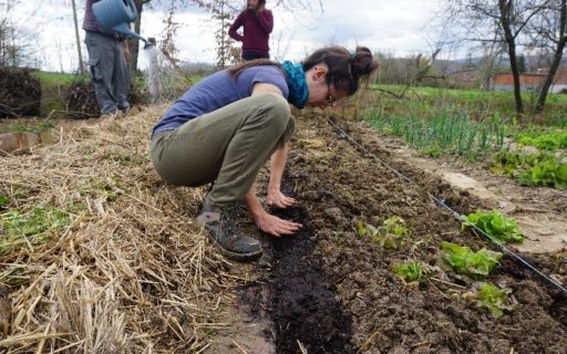 Mõtteid EVSist Horvaatias