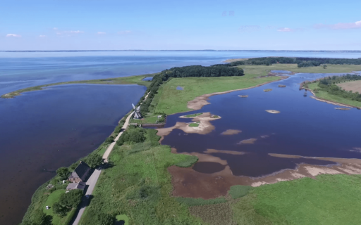 Дмитрий о волонтерском лагере в Германии