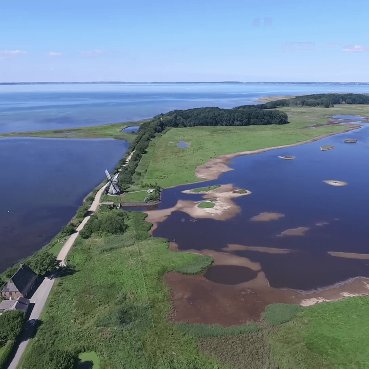 Дмитрий о волонтерском лагере в Германии