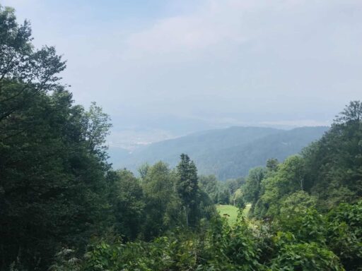 ESK võimalused Austrias (4-12 kuud)