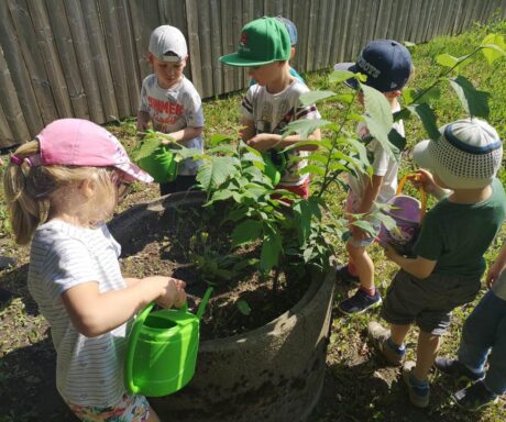 Tallinn Kullatera Kindergarden