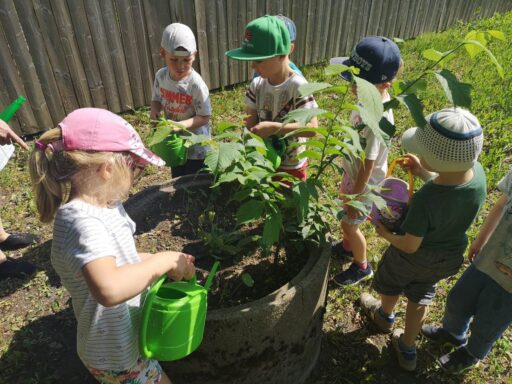Tallinn Kullatera Kindergarden