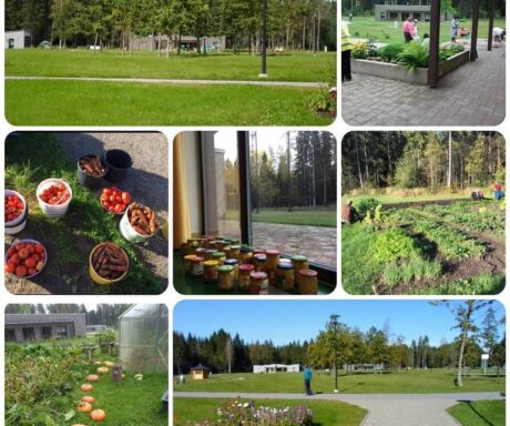 Türi Welfare Center