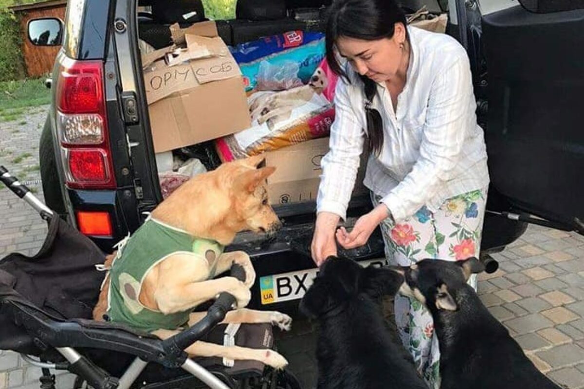 Ukraina partner Union Forum vajab toetust!