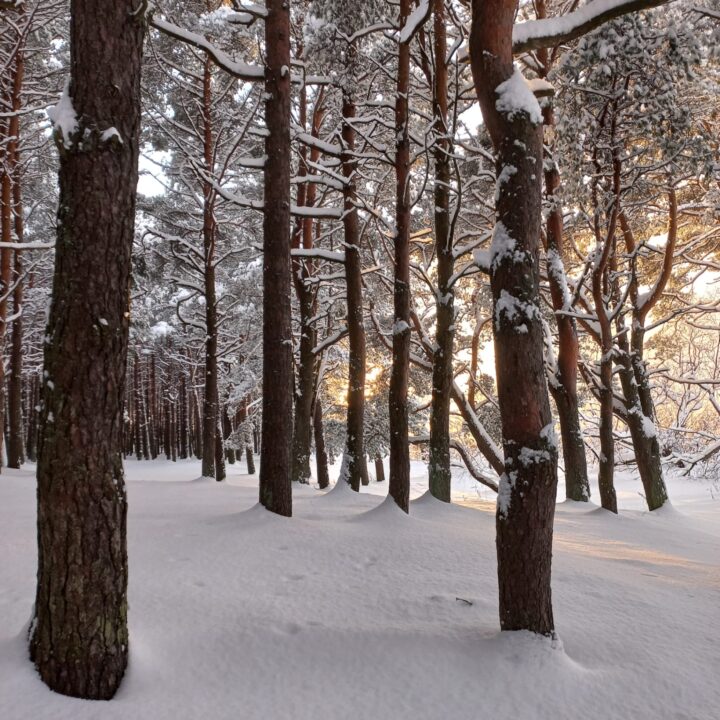 Eszter’s ESC experience in Estonia