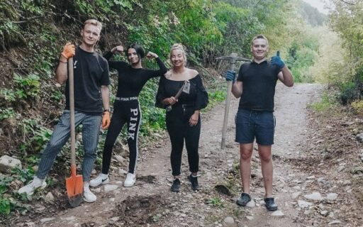 Владислав в Болгарии