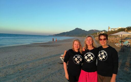 Miks just Mehhiko ja kilpkonnad?