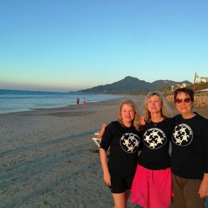 Miks just Mehhiko ja kilpkonnad?