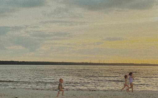 “Similarities and differences between two small countries” A journey of understanding Estonian society, through changes and familiarity