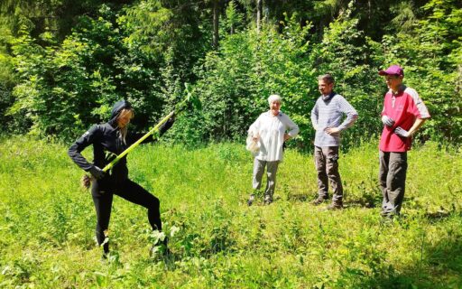 Voluntary camps with Estonian Fund for Nature
