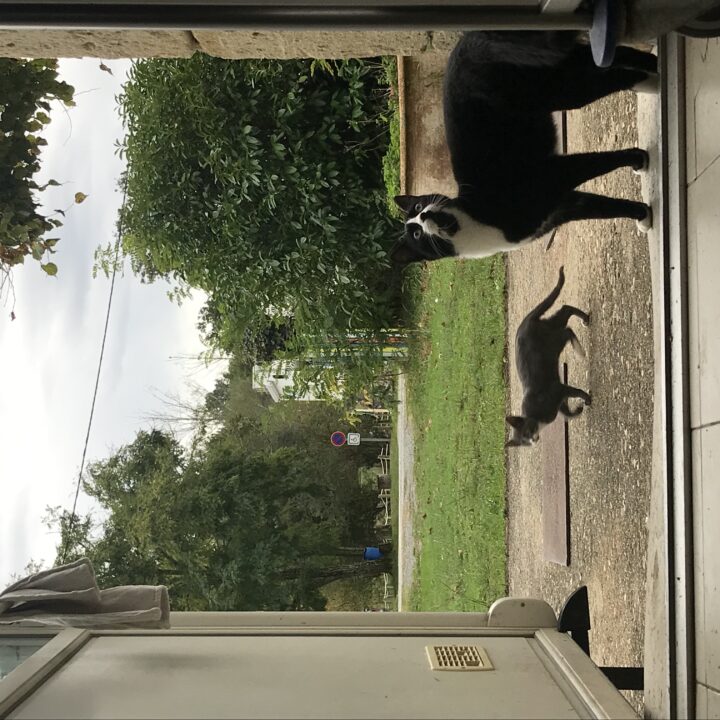 Tuuli Kärt kaks kuud Montendres hoolitsedes majutusasutuse eest ning võõrustades gruppe