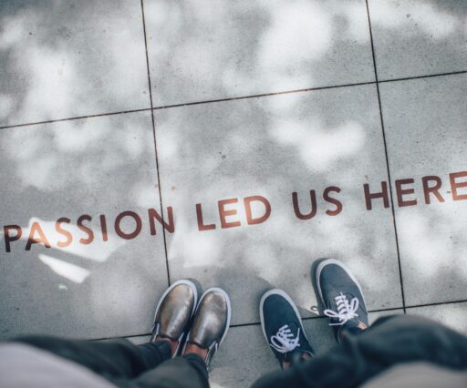 ian schneider tammbr4okv4 unsplash