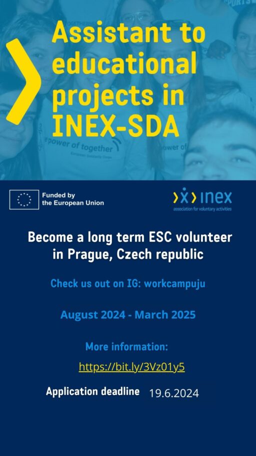 assitant to edu projects iii