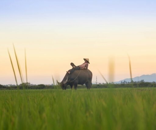 kiril dobrev ub0qivpsxgc unsplash