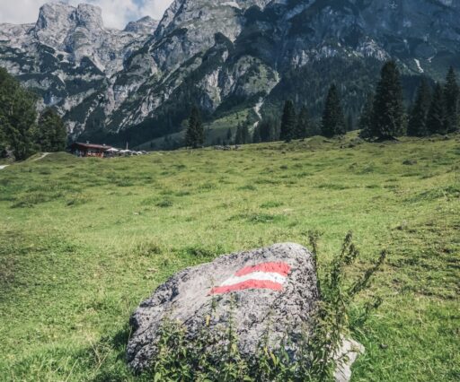 quaritsch photography rvyc3zzhpt8 unsplash