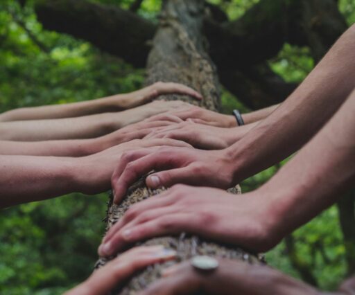 shane rounce dnkonxqti3c unsplash