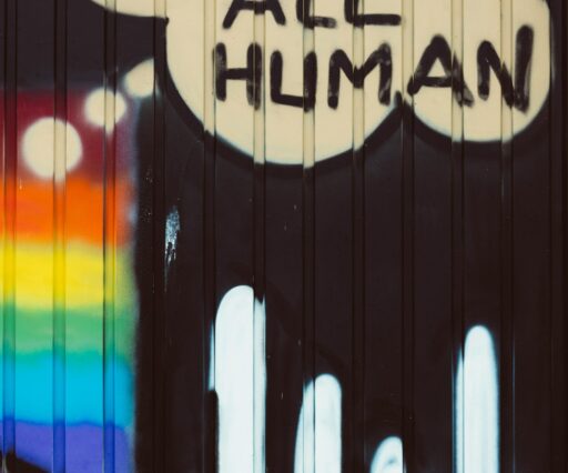 markus spiske f afp0pr6ak unsplash