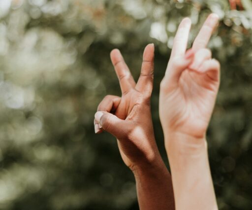 priscilla du preez wf3p6jwdw6q unsplash (1)