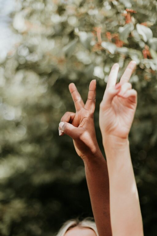 priscilla du preez wf3p6jwdw6q unsplash (1)