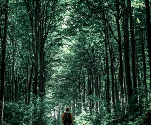valentin salja cg6nsywyj8y unsplash
