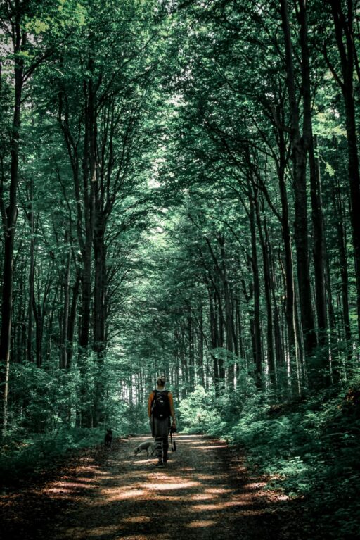 valentin salja cg6nsywyj8y unsplash
