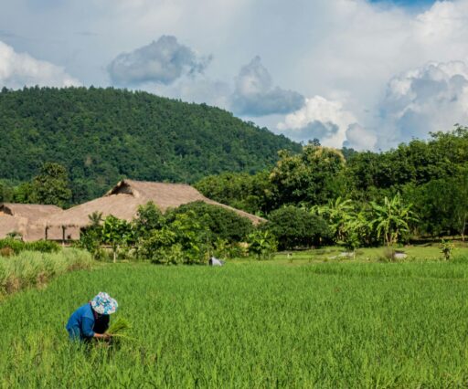 dennis rochel nd2p5okwkms unsplash