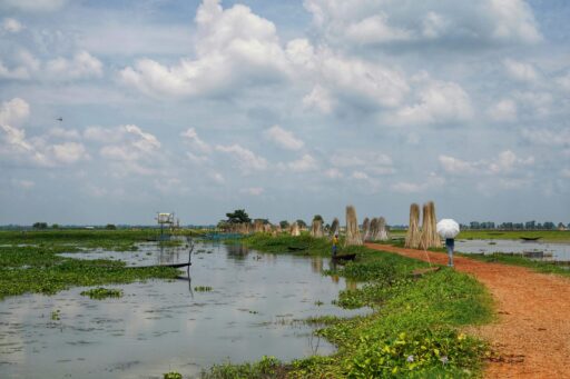dibakar roy 2ydsh3s1lkm unsplash
