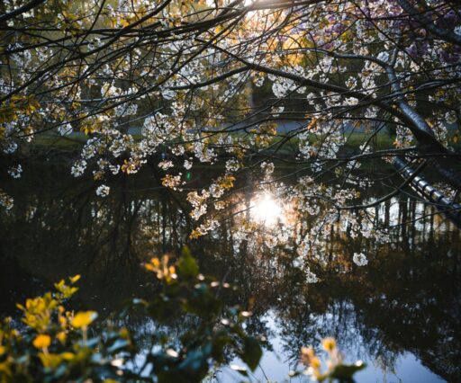 illiya vjestica c1qy9zfj6t4 unsplash