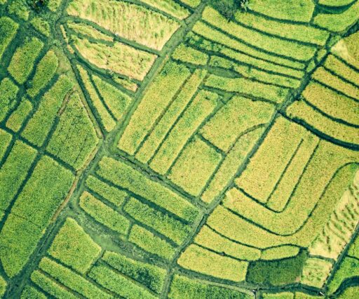 Koolitus “Rooted in the earth” Prantsusmaal (2.-6.06)