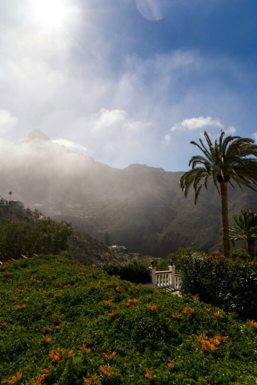 ryan faulkner y0crti4gwuy unsplash