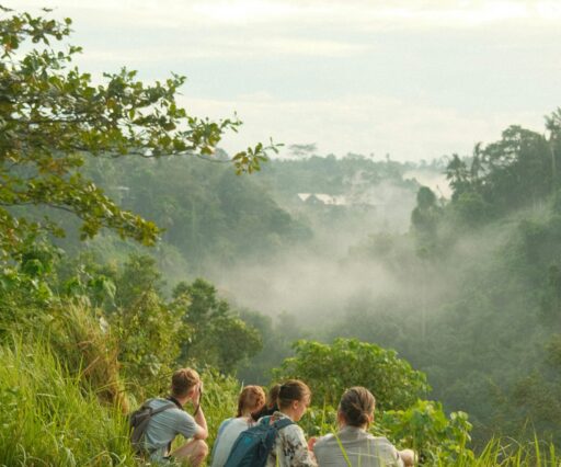 sophie peng ld k2mv3sgi unsplash