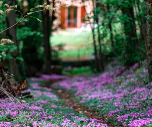 andreas brun rukzmp37qcg unsplash