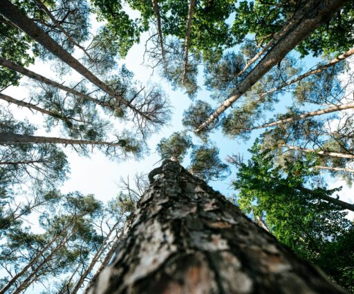 markus spiske y yatbtnzko unsplash