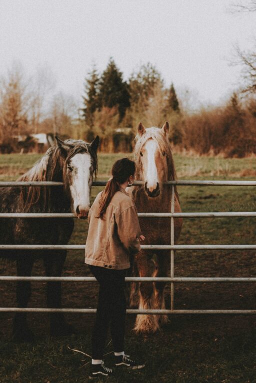 mathias reding f6yfdac4zvs unsplash