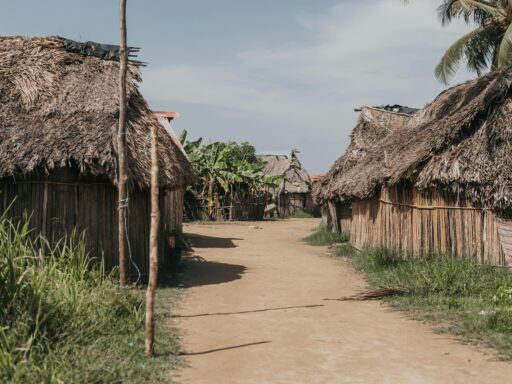 esrael nate afwezjv ff0 unsplash