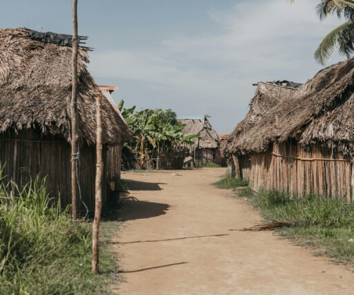 esrael nate afwezjv ff0 unsplash