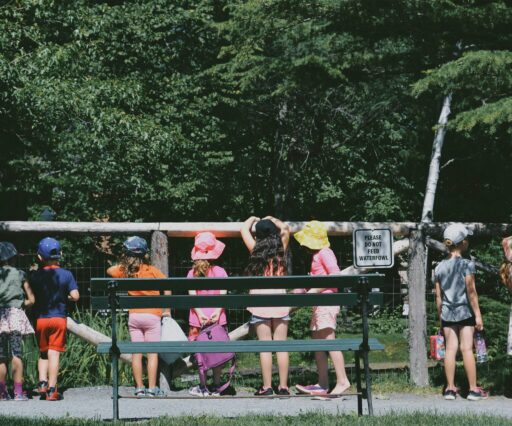 lumi w rywm77jovvi unsplash