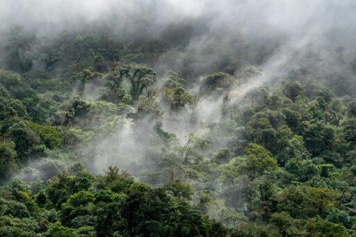 bob brewer 2ci55w51boi unsplash