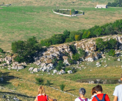 marco ceschi 6dbdki87tys unsplash