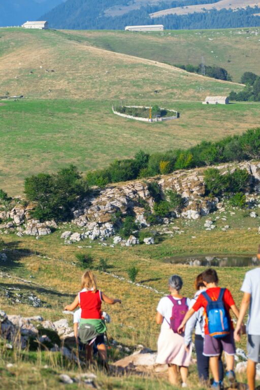 marco ceschi 6dbdki87tys unsplash