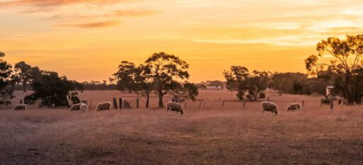 hamish 4cmutt5kzqq unsplash