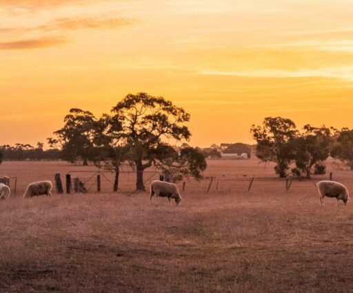 hamish 4cmutt5kzqq unsplash