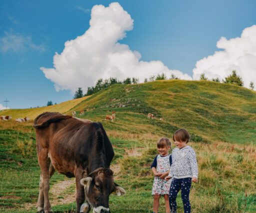 alexander dummer hotgfpil6bc unsplash