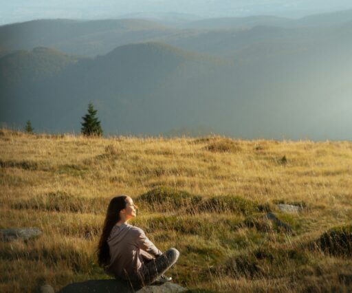 inspa makers bcd trrhgs unsplash